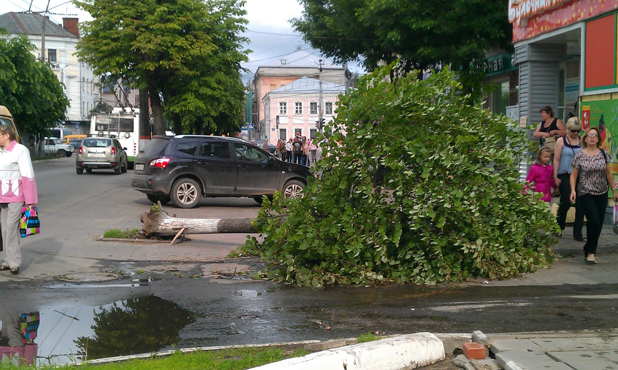 Зеленстрой тверь сайт. Зеленстрой Курск.