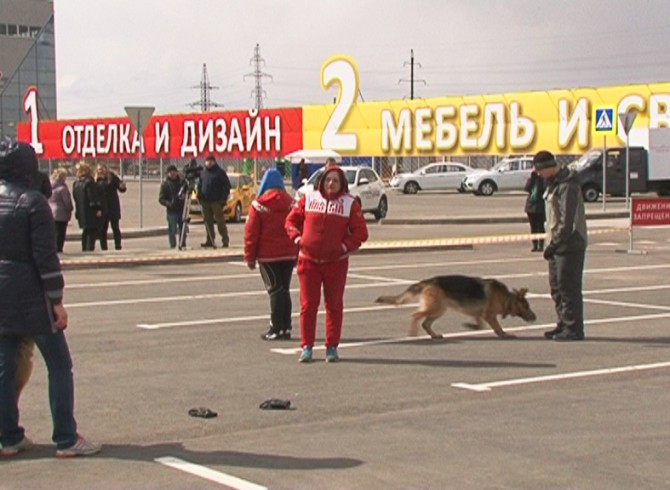 В Твери прошла выставка "Авто Дог Экспо" | Твериград