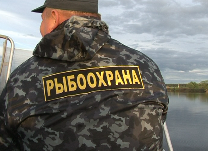 В Белом море поймали браконьера с семгой