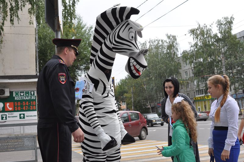 Зебра заречный фото