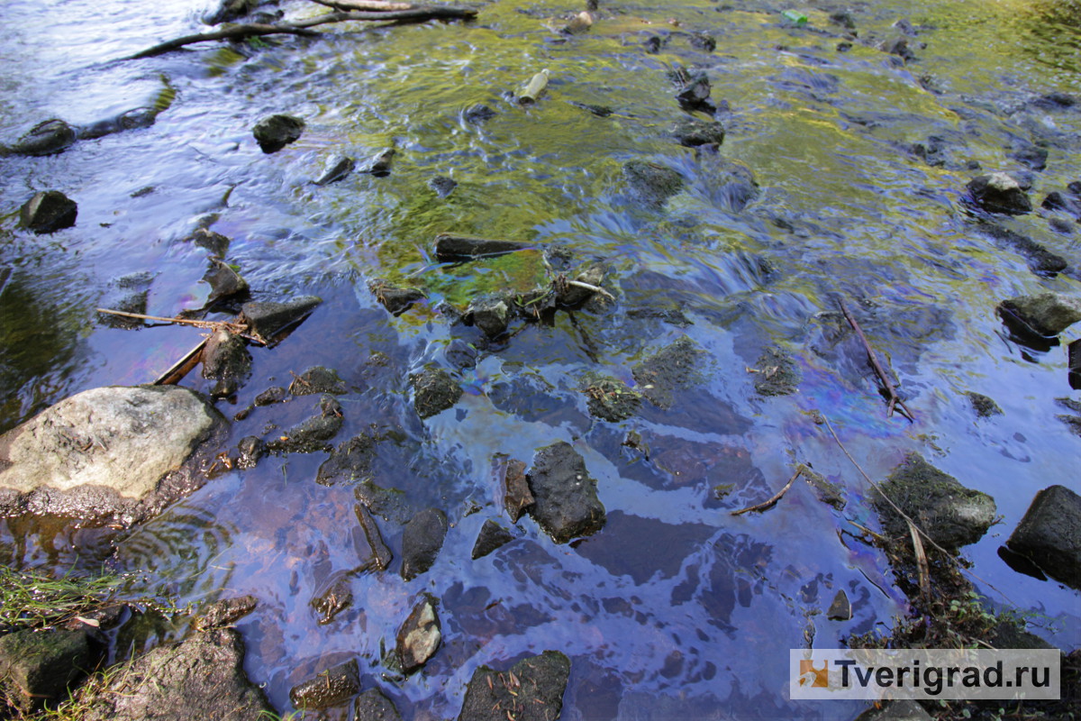 Решение экологических проблем рек. Решение проблемы загрязнения рек. Загрязнение реки иртыш. Проблемы реки обь и пути их решения. Река обь презентация.