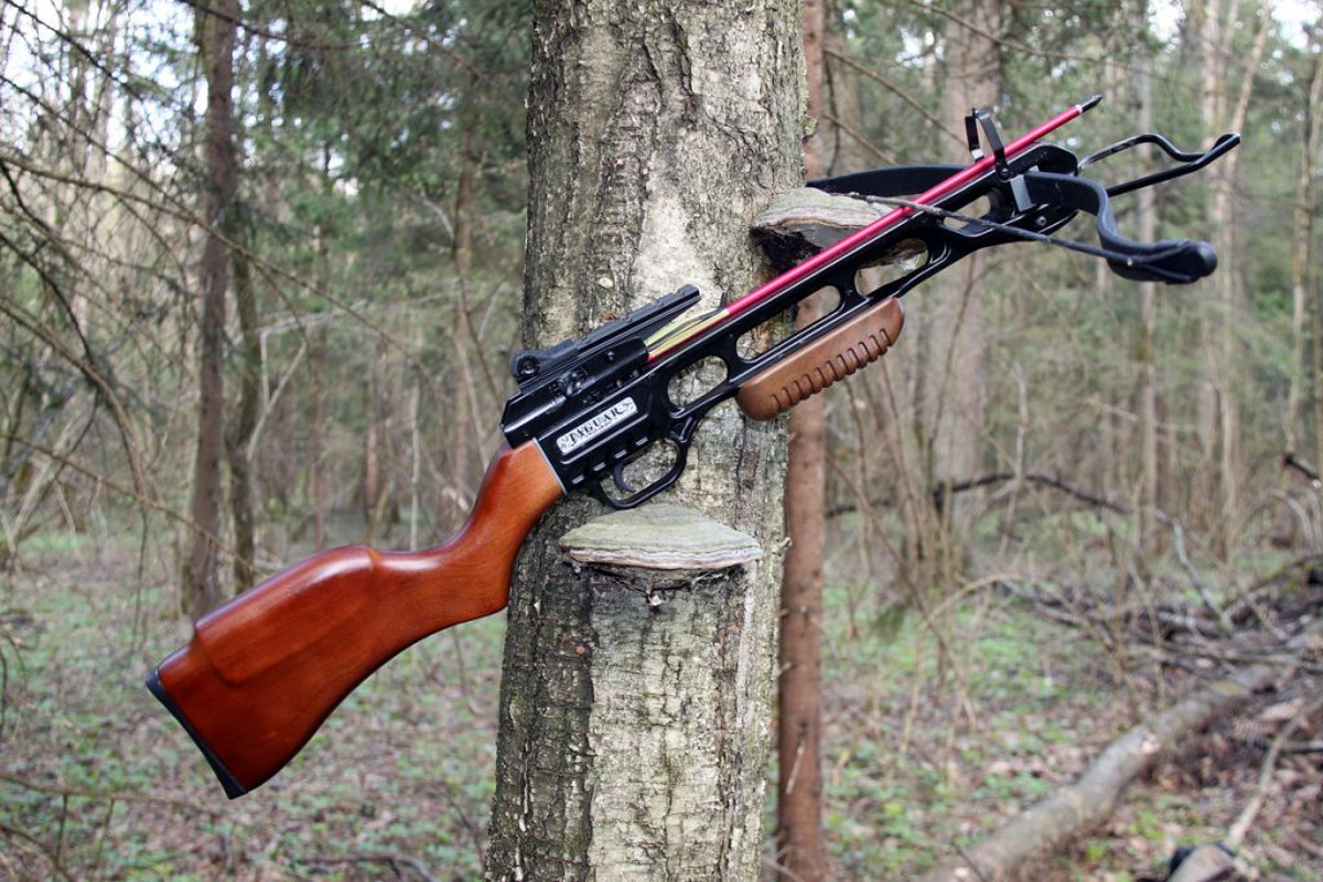 охотничий иж 81. гладкоствольные охотничьи карабины российского производства. какое ружье для какой охоты. какое ружье для какой охоты. гладкоствольное ружье 12 калибра.