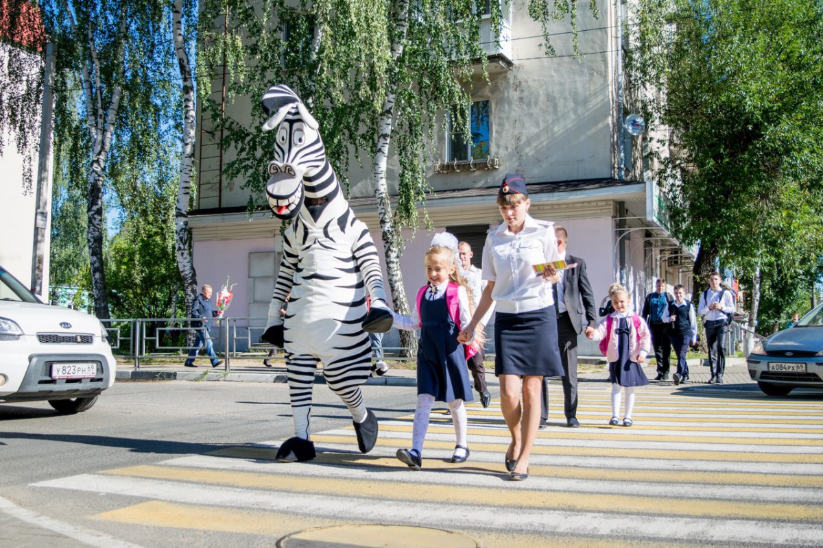 Зебра во владимире новости владимира и владимирской. Зебра Тверь. Зебра и гаишник. Акция Зебра друг пешехода. Зебра ГИБДД.