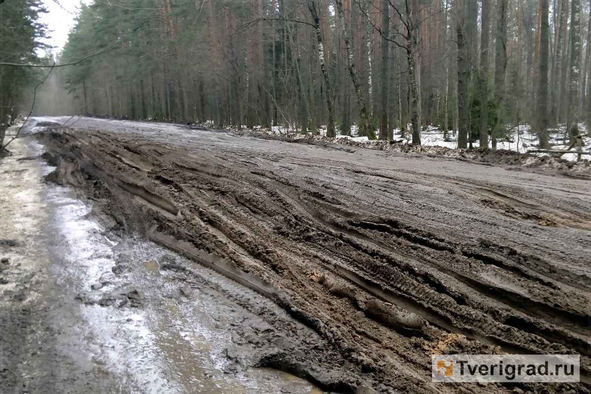 В Тверской области бездорожье отрезало от внешнего мира жителей 15 деревень  | Твериград