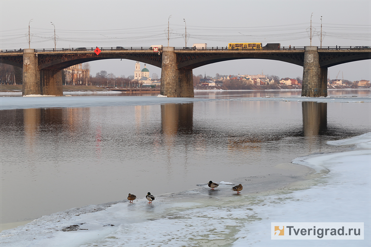 тверь, волга, весна, ледоход, новый мост