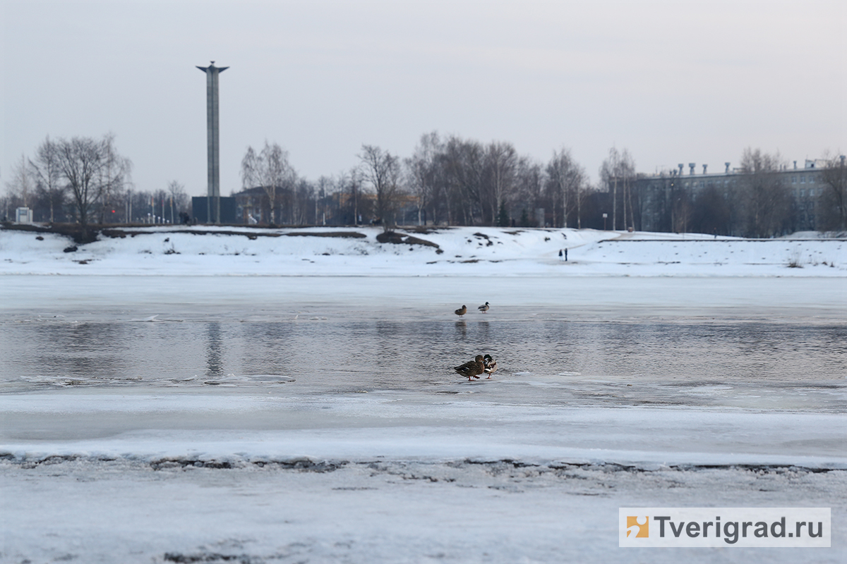 тверь, волга, весна, ледоход