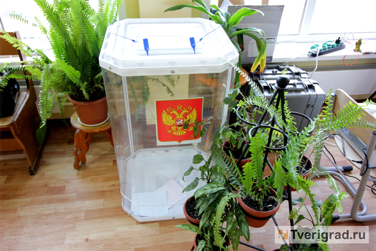 Сегодня в Тверской области проходит Единый день голосования
