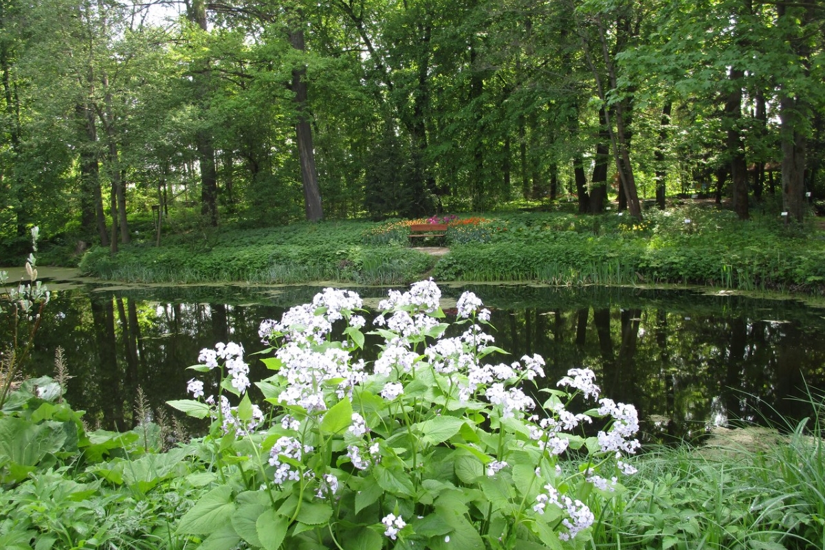 Ботанический сад тверь фото