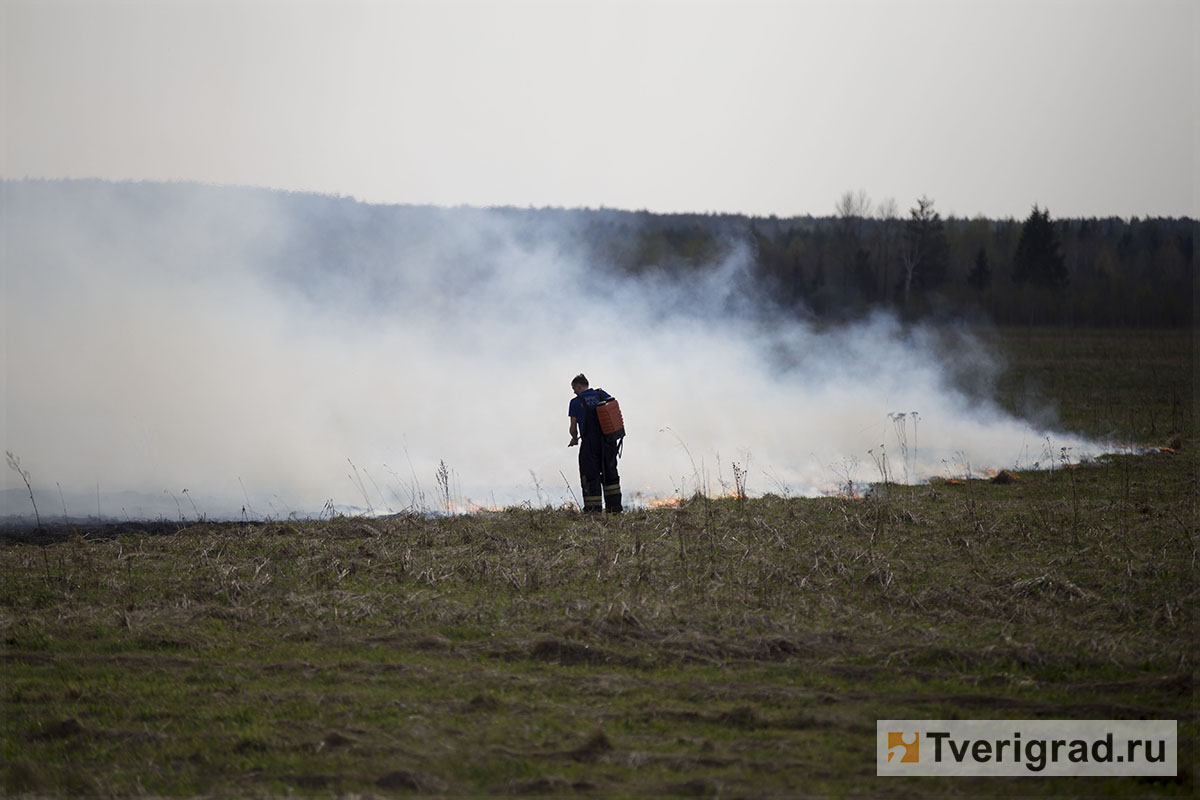 Пожар 4 буквы