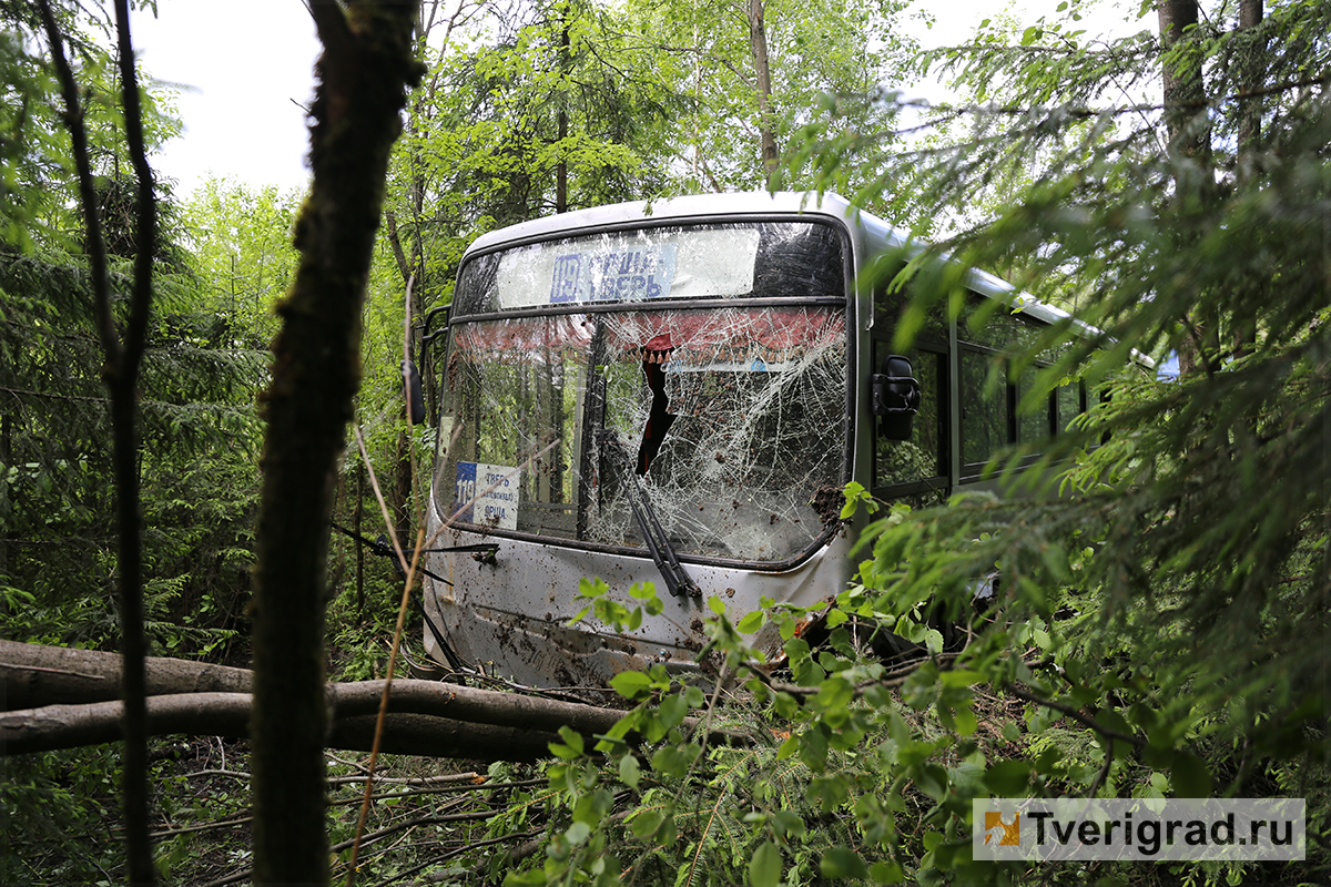 Подробности автокатастрофы под Тверью: водитель выносил на руках пассажирку  из разбитого автобуса / фото, видео | Твериград