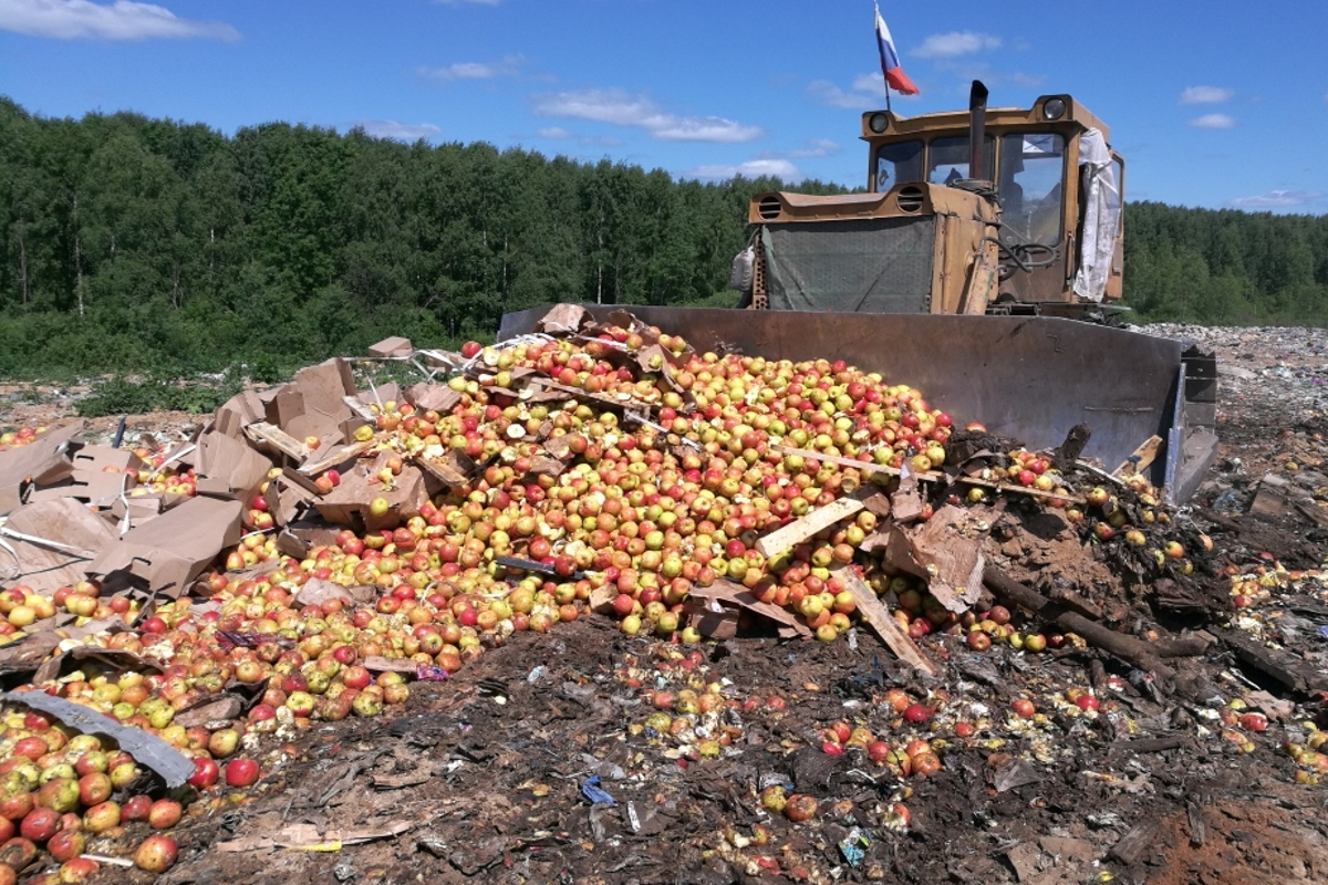 Бульдозер давит. Санкционные продукты.