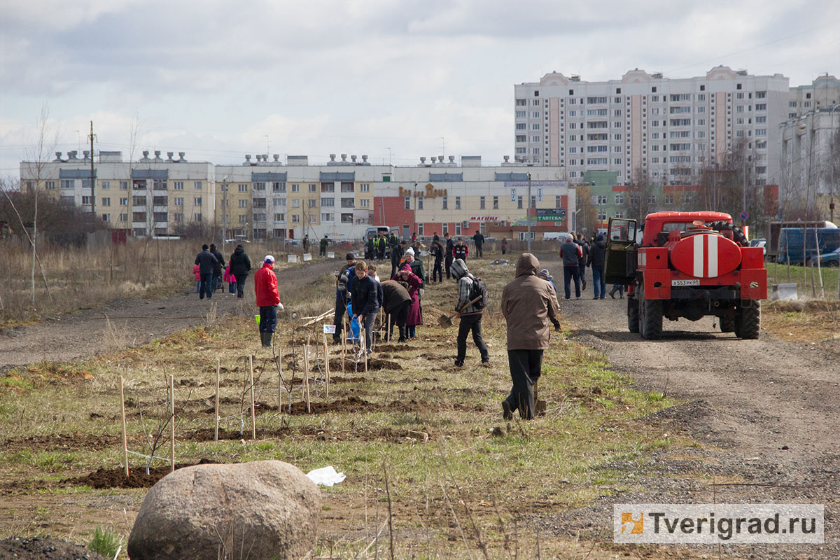 Торты в мамулино тверь