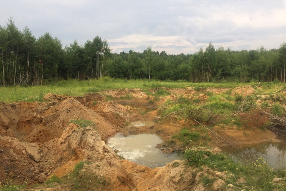 Только в Конаковском районе Тверской области выявлено 20 незаконных карьеров  | Твериград