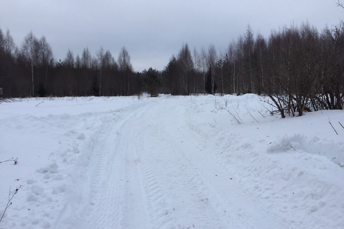 Под Тверью волонтёры из «Подари дрова» завязли в снегу по пути к  отшельнику, о котором забыли чиновники | Твериград