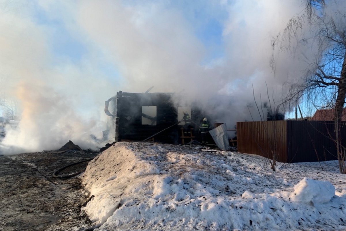 Под Тверью сгорел приют для животных: спасено 30 собак, девушка-волонтёр  получила ожоги | Твериград