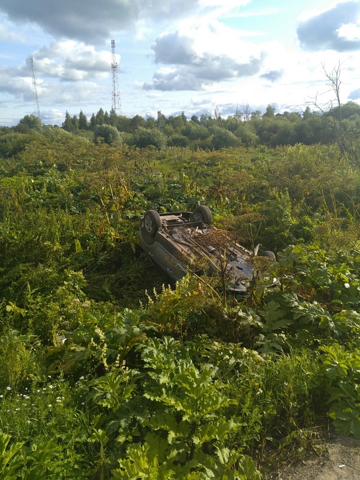 село дмитрова гора тверская область