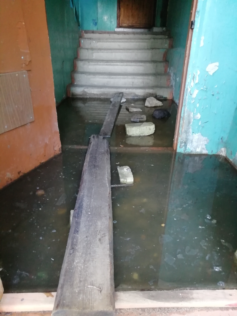 запах в подъезде. при обнаружении запаха газа в квартире. подъездные женщины. вонь в подъезде. соседи в подъезде.