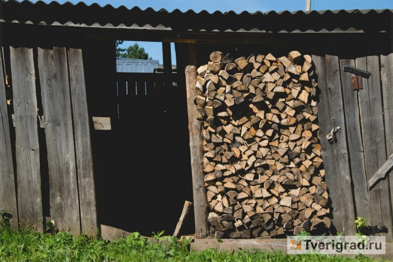 Газ не для всех: в Тверской области пенсионеры вынуждены таскать на себе  дрова, чтобы выжить в холода | Твериград