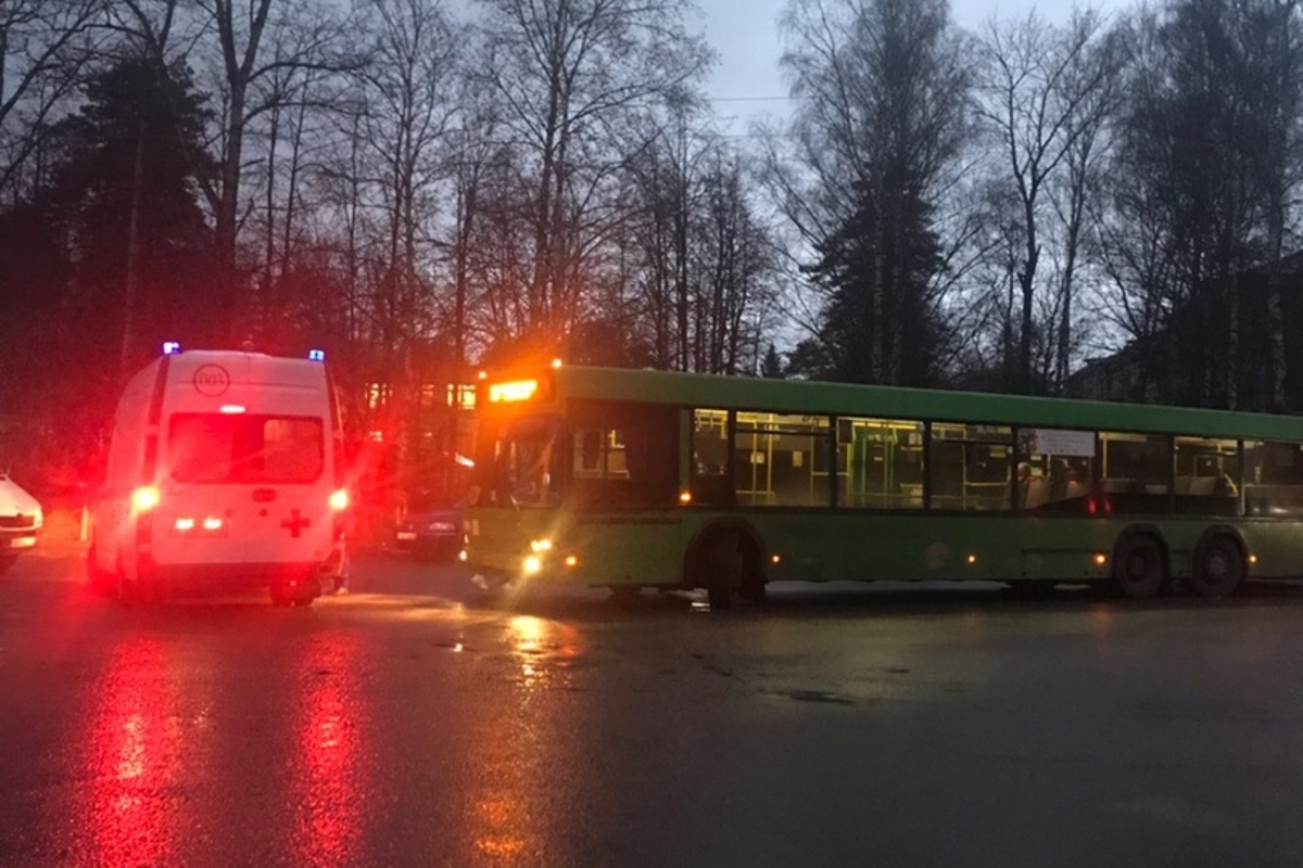 Автобус тверь западная двина