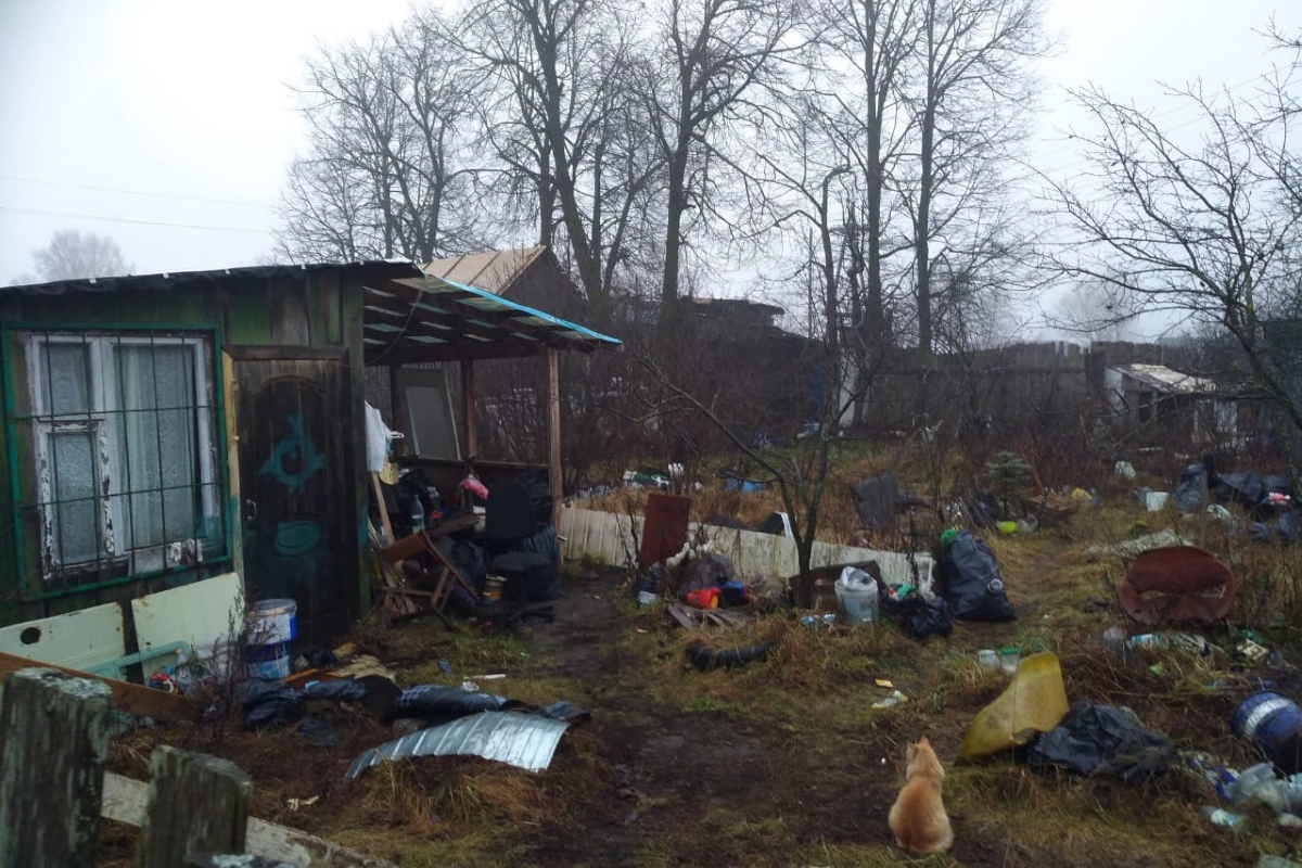 Жителей тверской деревни лишают огородов и сараев из-за строительства  коттеджей | Твериград