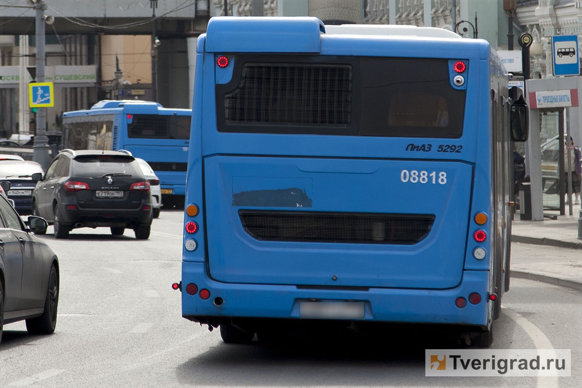 Новые автобусы, удобная оплата и полуночные рейсы: в минтрансе рассказали,  что ждёт пассажиров после реформы транспорта в Твери | Твериград