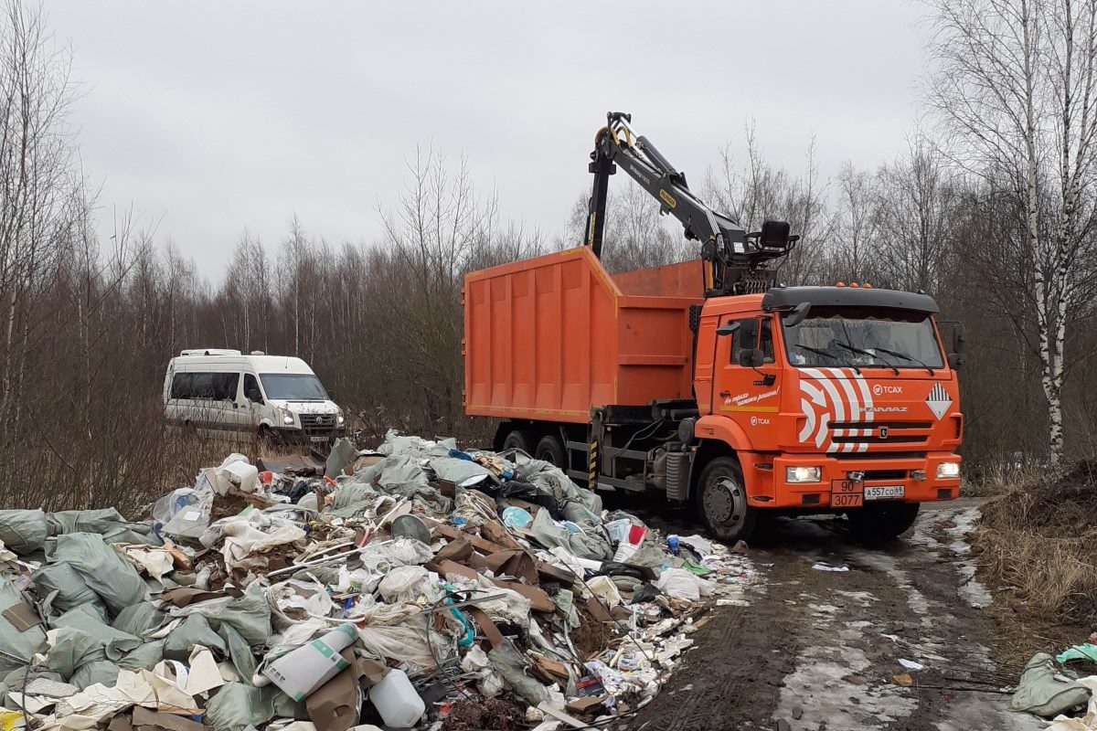 В Тверской области выявлено 635 несанкционированных свалок | Твериград