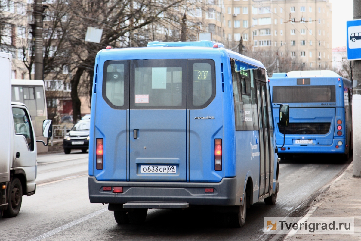 В Твери синие автобусы «Транспорта Верхневолжья» вышли ещё на восемь  маршрутов | Твериград