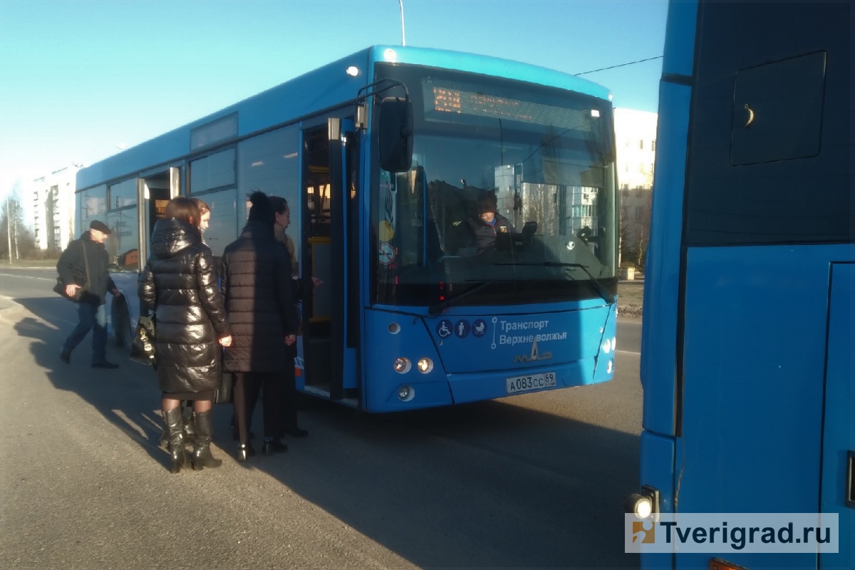 Синие автобусы с логотипом «Транспорта Верхневолжья» заменили ещё одну  маршрутку в Твери | Твериград