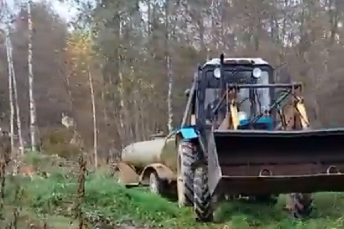 Очевидец снял на видео слив фекалий в лесу в Старицком районе | Твериград