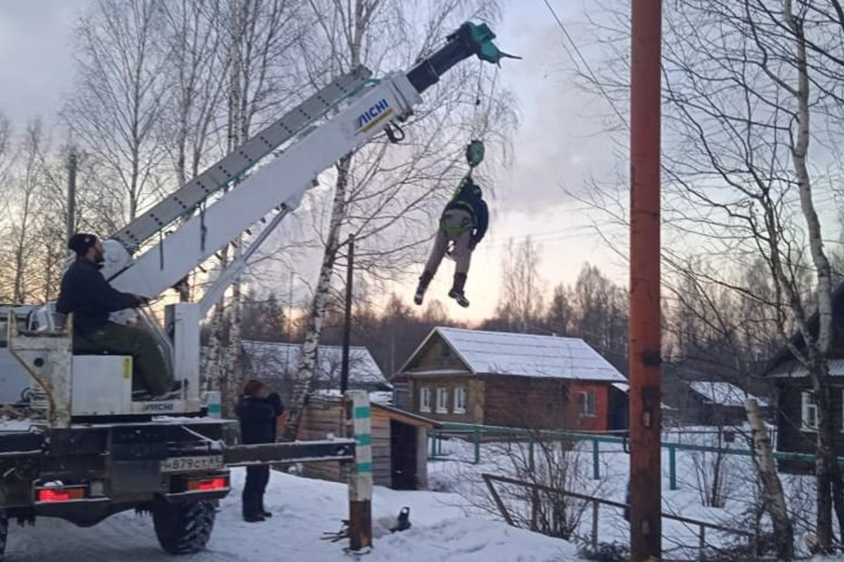 Повесил на сук