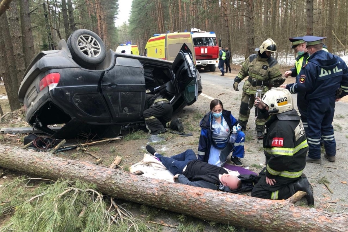 В Твери два человека получили тяжёлые травмы, врезавшись на BMW в дерево |  Твериград