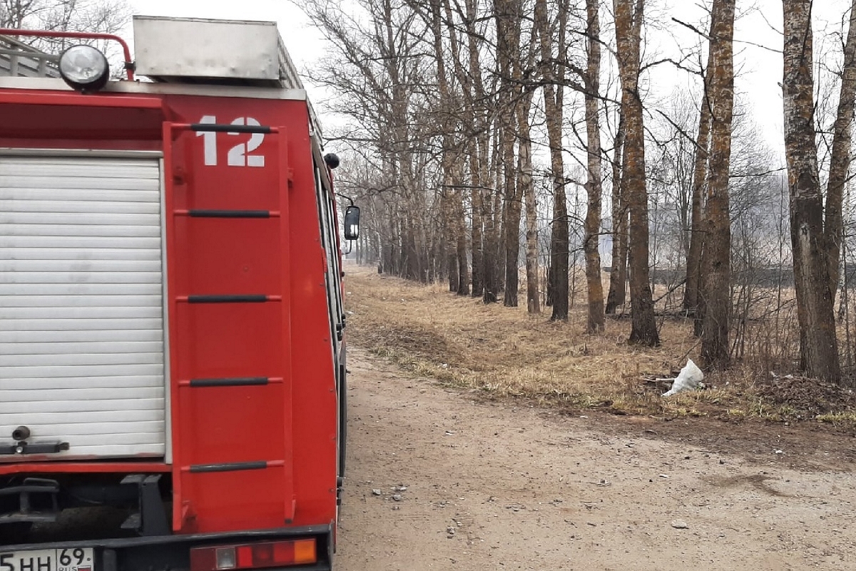 Пламя от пала травы охватило дачный кооператив в Тверской области |  Твериград