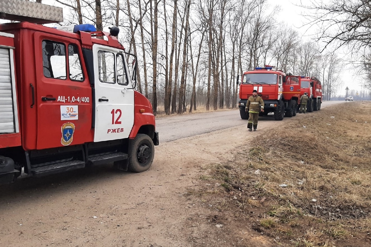 Пламя от пала травы охватило дачный кооператив в Тверской области |  Твериград