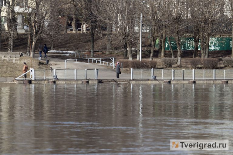 Вода в волге сейчас