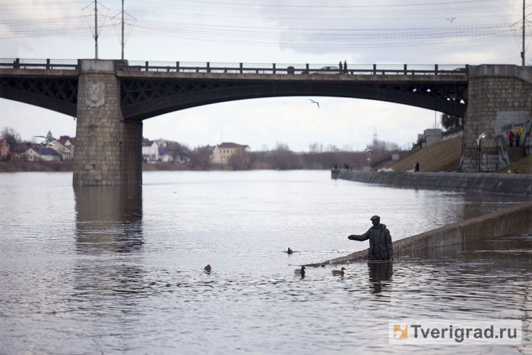 Вода в волге энгельс