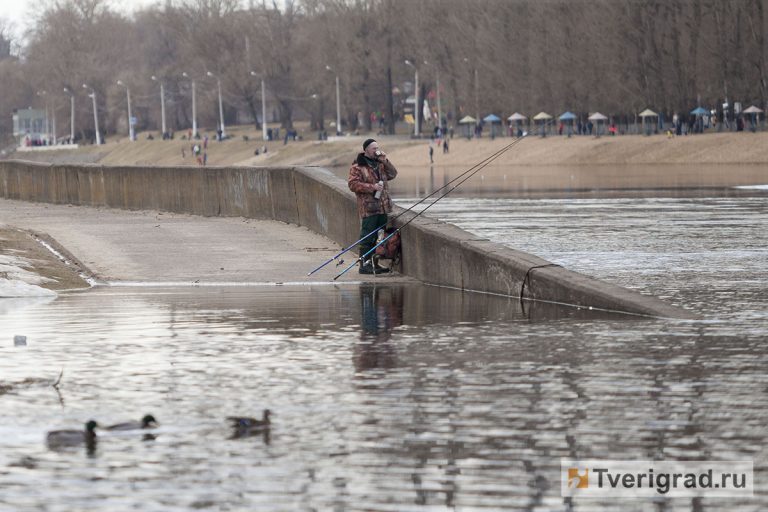 Качество воды в волге