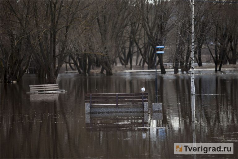 Погода воды в волге