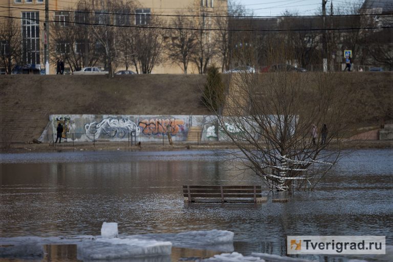 Вода в волге сейчас