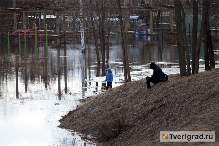 Дубна вода в волге