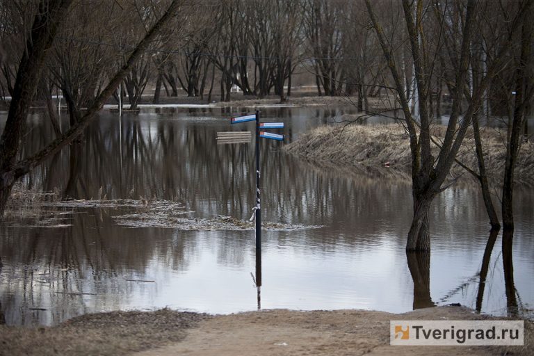 Темпера воды в волге