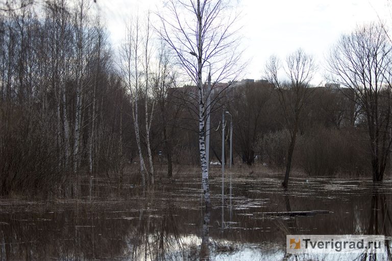 Вода в волге конаково