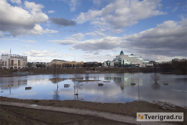 Цветение воды в волге