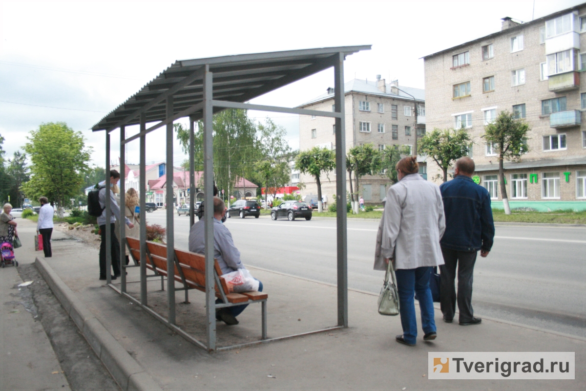 Ржев будущего: председатель Госдумы и губернатор Тверской области посетили  город воинской славы | Твериград