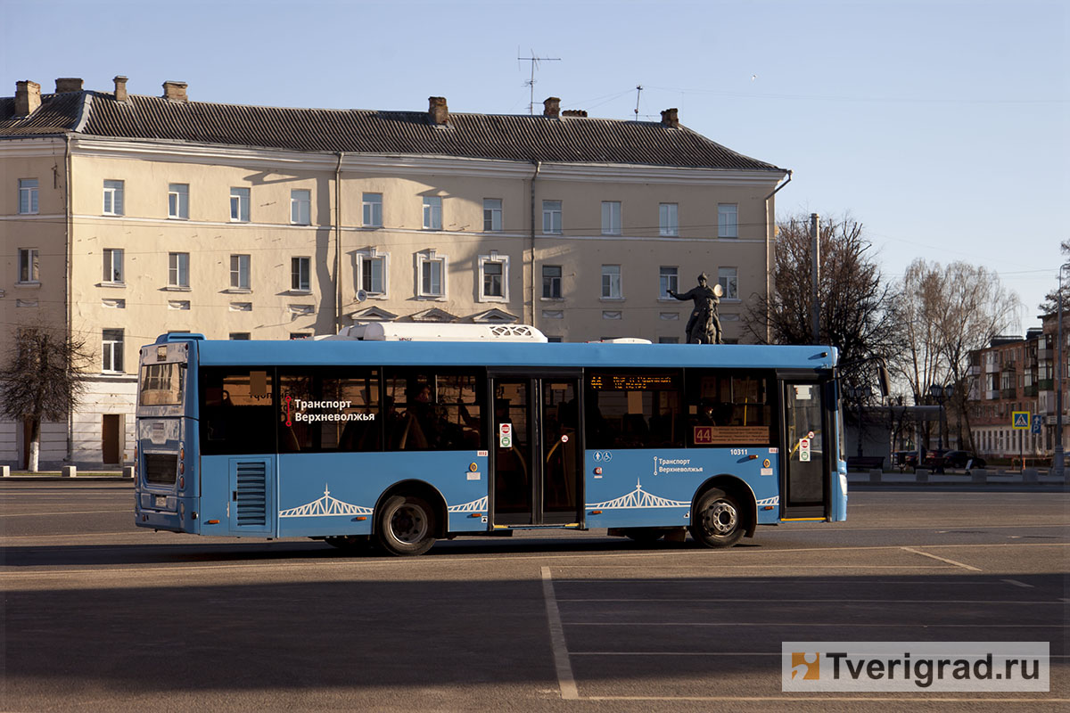 Пять автобусных маршрутов в Твери и Калининском округе ждут изменения |  Твериград