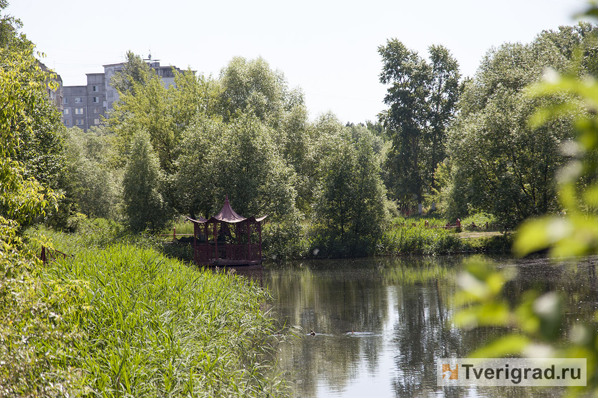 Китайский парк тверь фото