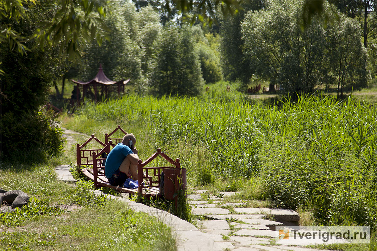 Китайский парк тверь фото