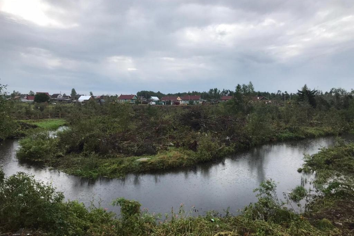 Волга в районе Городня