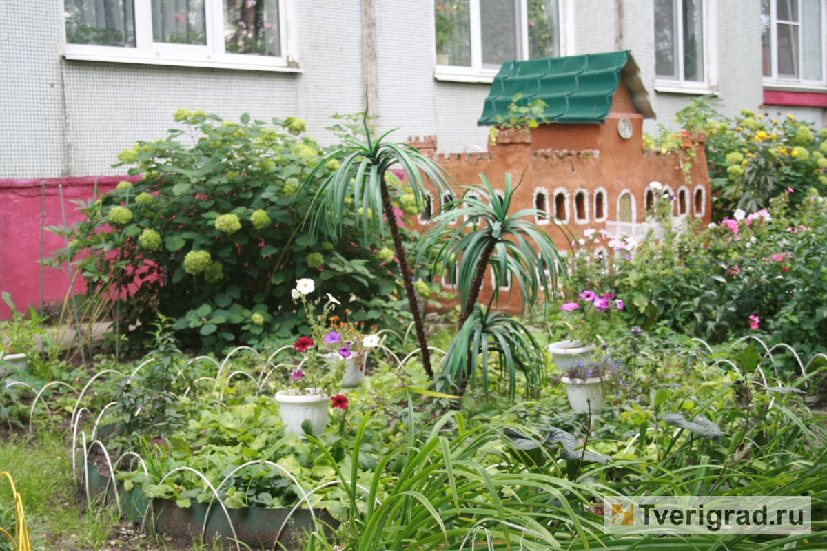 Замок с часами, избушка из сказки и караси в пруду: как украшают свои дворы  тверичане | Твериград