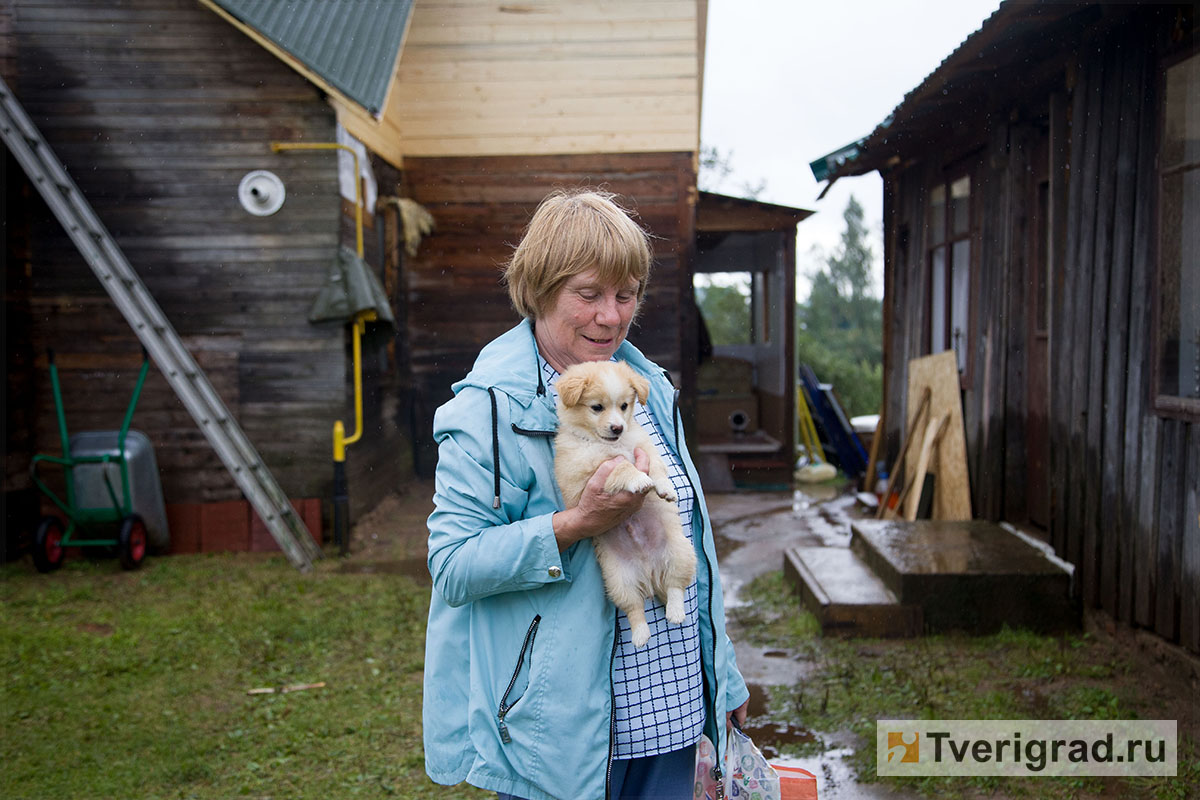 10 дней спустя: как изменился Андреаполь после удара торнадо - Тверь.Сегодня  - Новости Твери и Тверской области