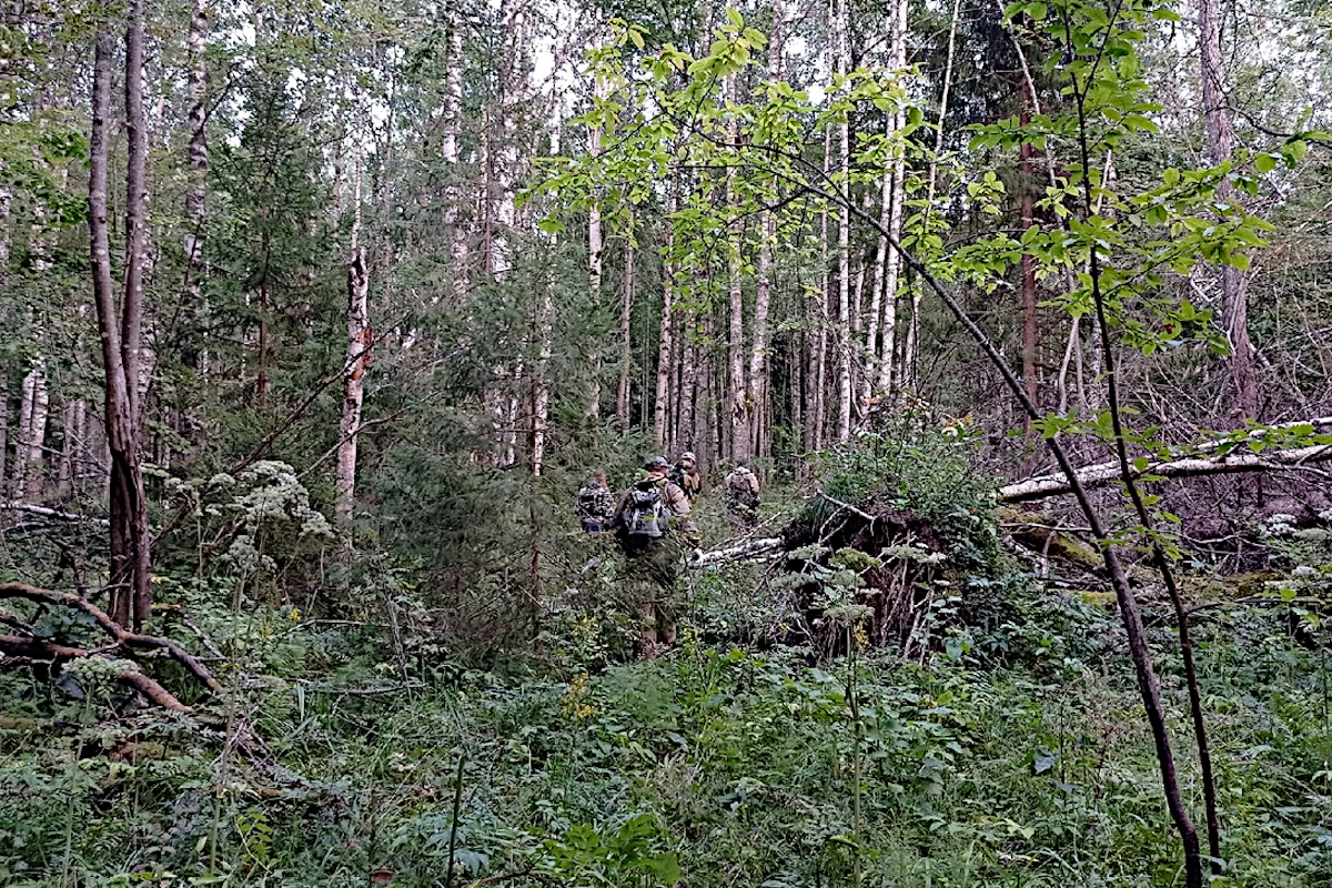 В Тверской области поисковики продирались с носилками сквозь лес, спасая  парня и девушку | Твериград